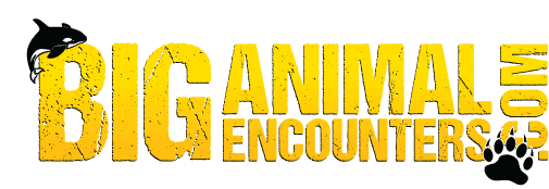 Stakeholders Campbell River Logo