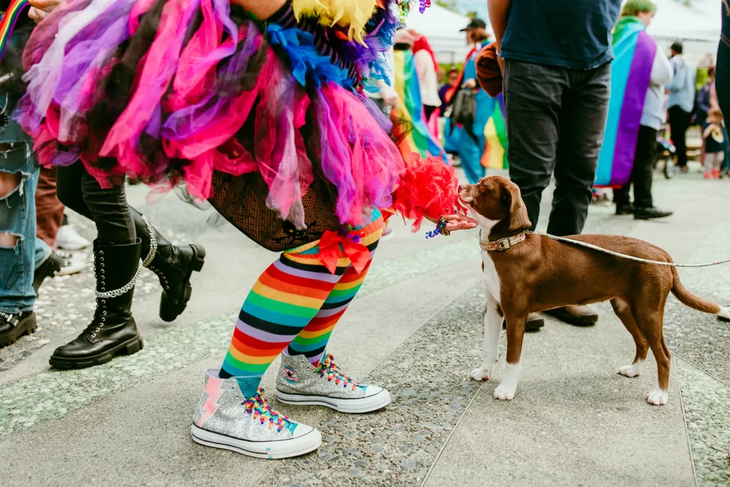 Small dog at Pride Festival