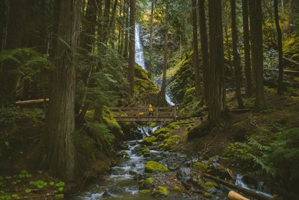 Waterfalls in Campbell River | Destination Campbell River