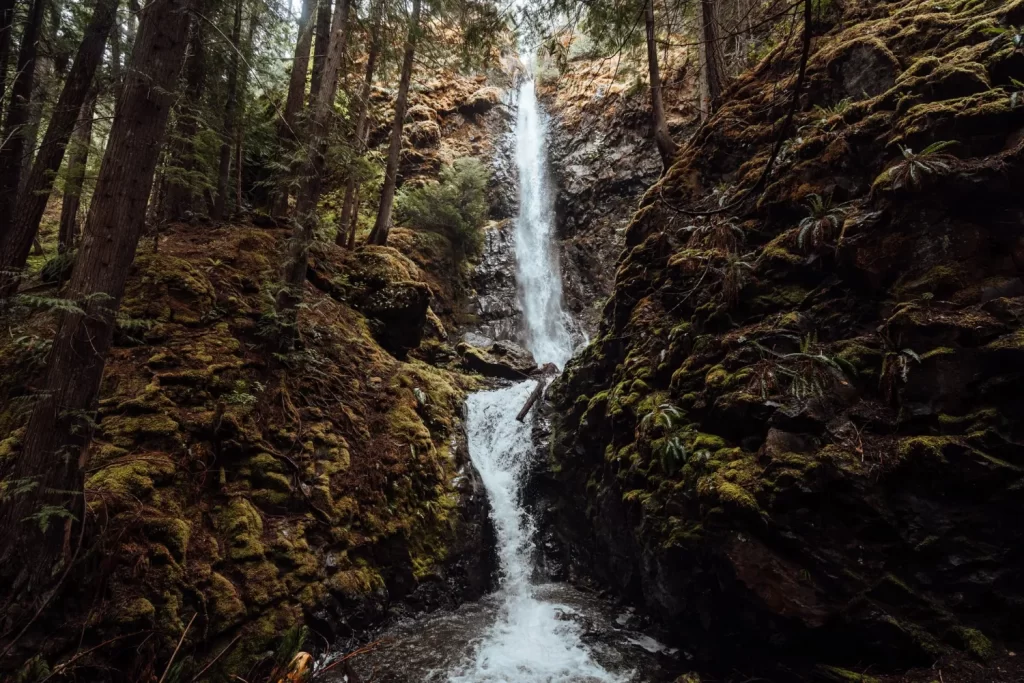 Waterfalls in Campbell River | Destination Campbell River