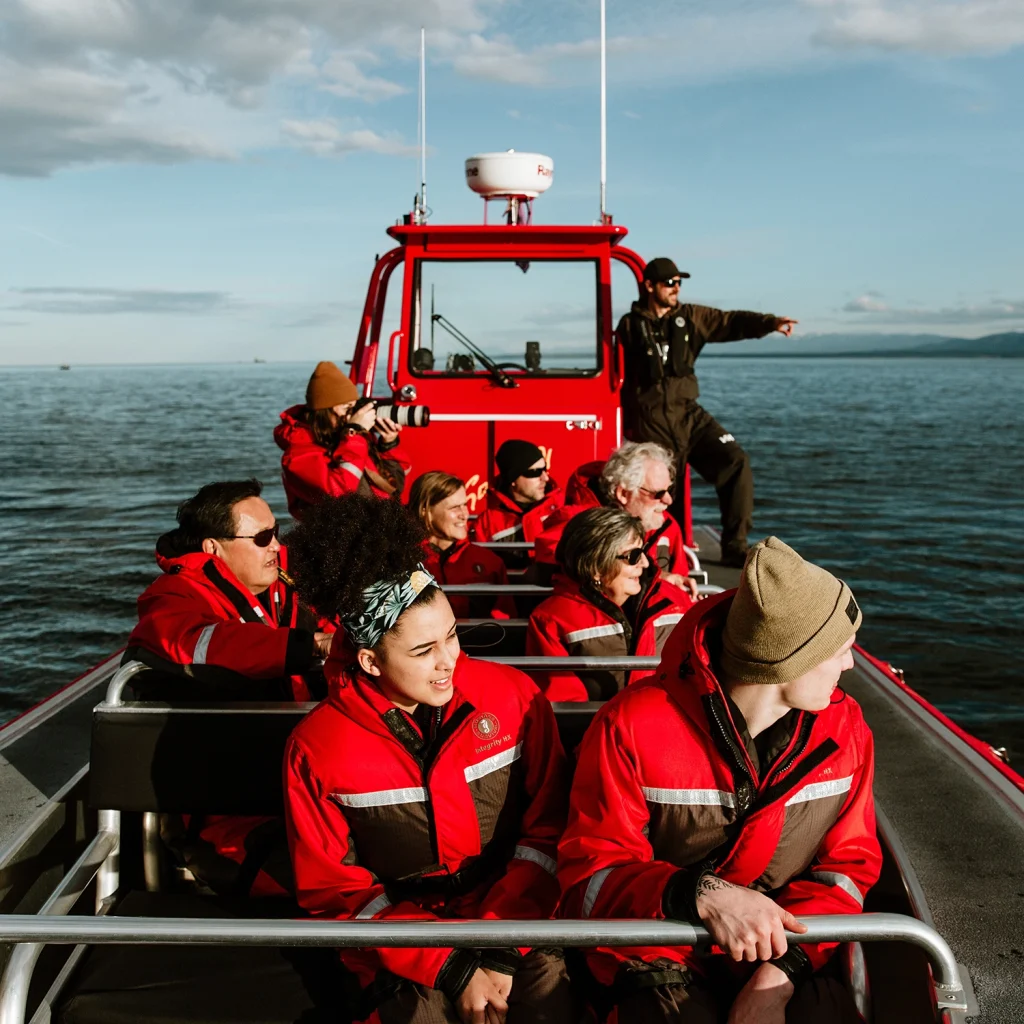 Campbell River Whale Watching | Destination Campbell River