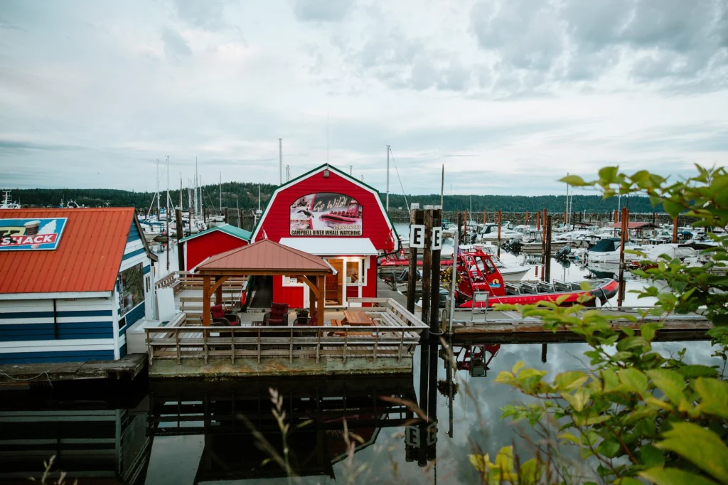 Campbell River Whale Watching at Discovery Harbour Marina | Destination Campbell River