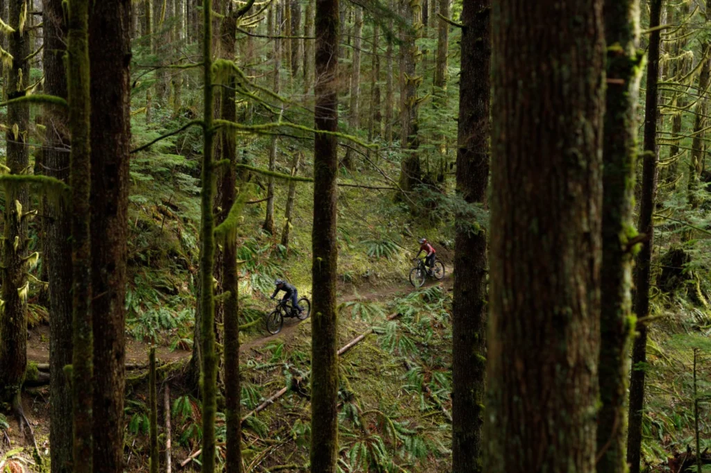 Mountain Biking In Campbell River | Destination Campbell River