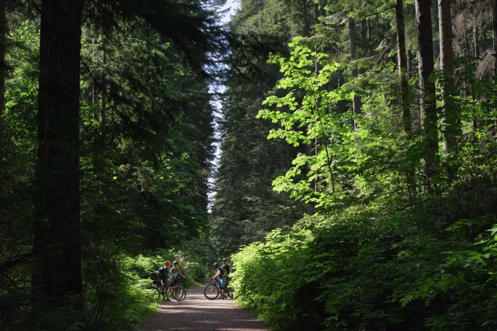 Beaver Lodge Forest Lands | Mountain Bike | Geoffrey Tomlin-Hood:BC Ale Trail
