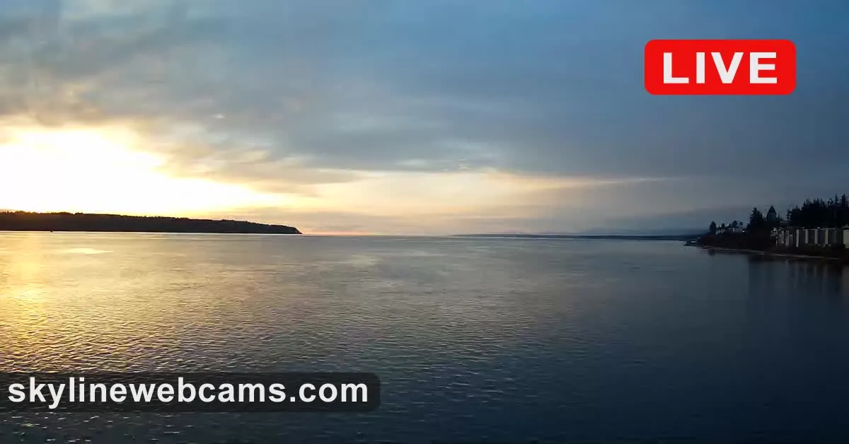 Discovery Passage Live Webcam Thumb | Destination Campbell River