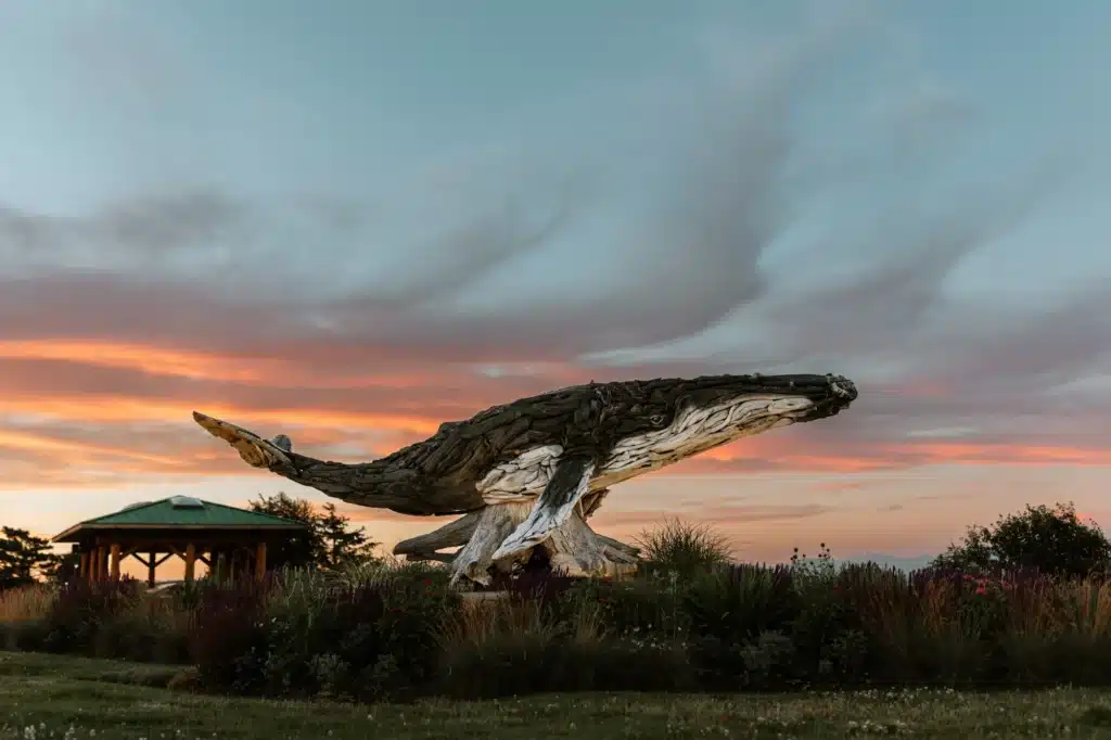 Humpback Whale Driftwood Sculpture Ken Forde Park | Bluetree Photography | Destination Campbell River