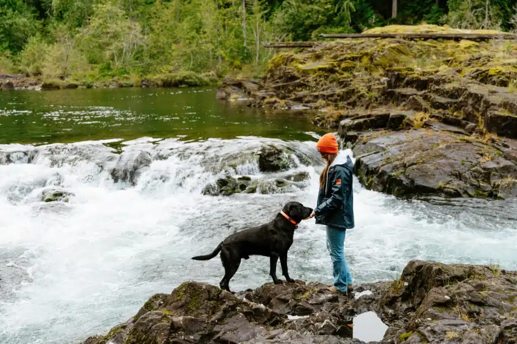 Hiker with Dog at Elk Falls | Bluetree Photography | Destination Campbell River