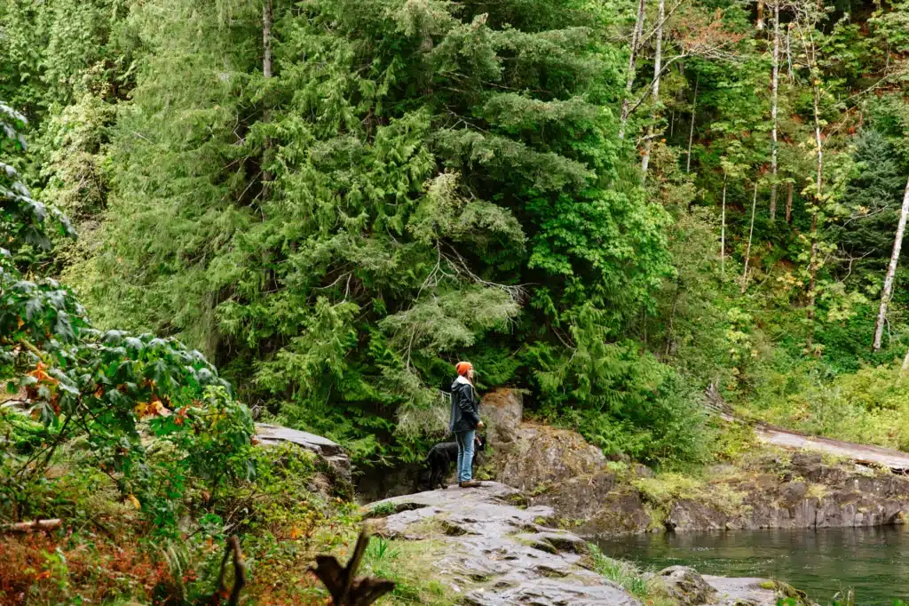 Forest Bathing Vancouver Island at Elk Falls Provincial Park | Bluetree Photography | Destination Campbell River