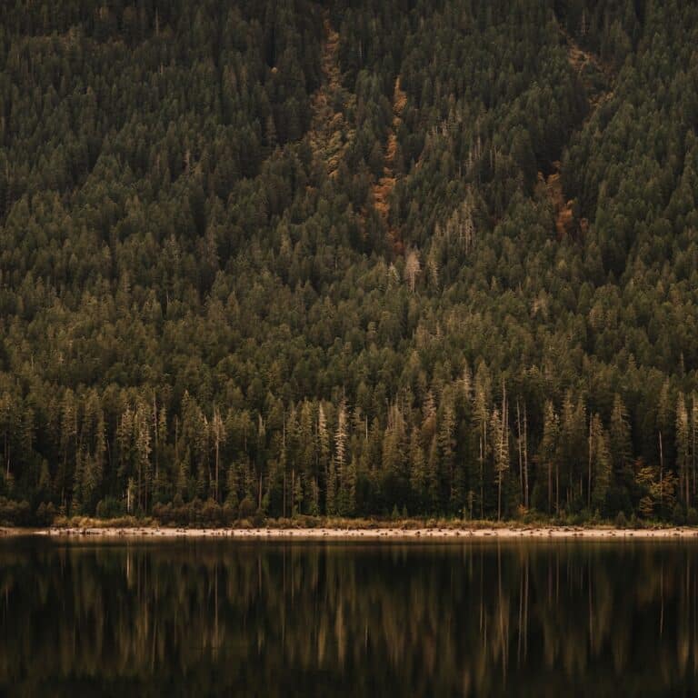 Buttle Lake in Strathcona Provincial Park | Erin Wallis Photography | Destination Campbell River