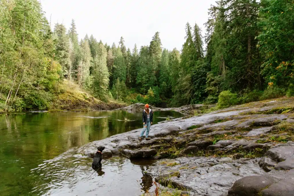 Dog Walking Elk Falls | Bluetree Photography | Destination Campbell River