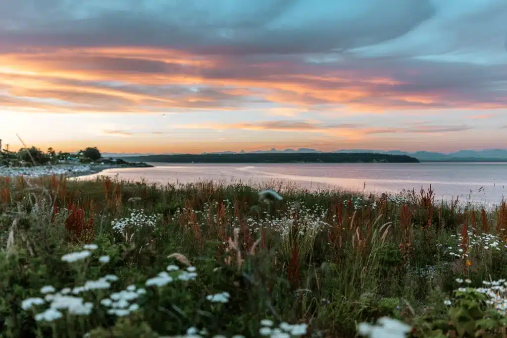 View from Ken Forde Park Campbell River | Bluetree Photography | Destination Campbell River