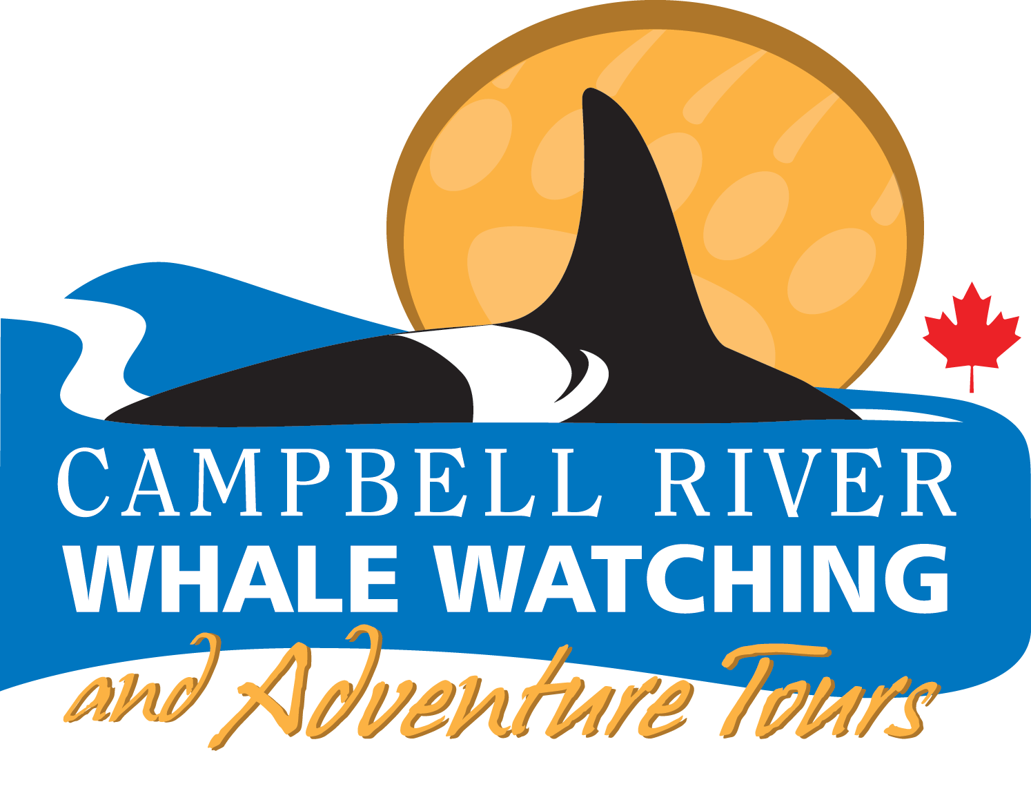 Campbell River Whale Watching
