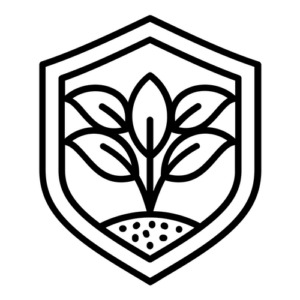 noun conservation 8283805